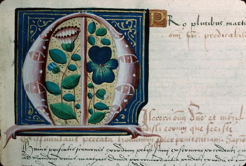 Troyes, Bibl. mun., ms. 1431, t. III, f. 251