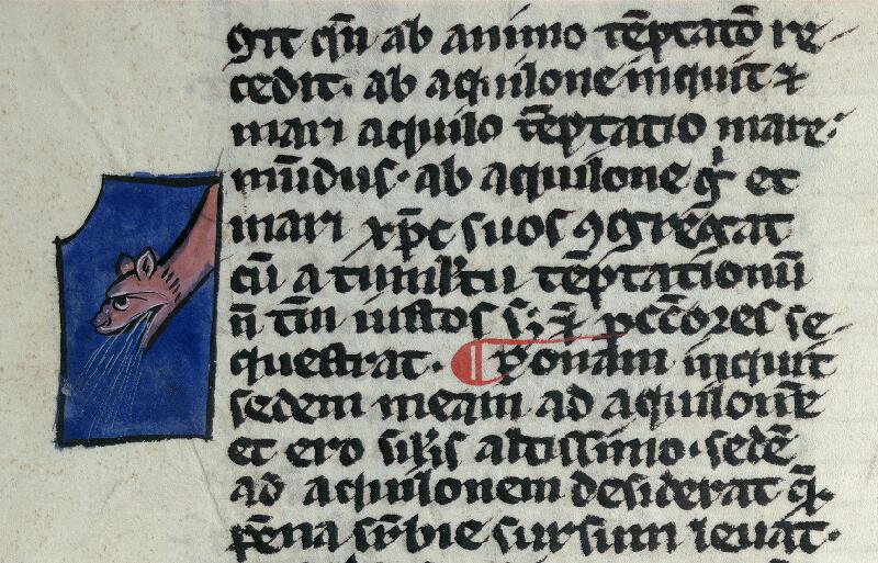 Valenciennes, Bibl. mun., ms. 0101, f. 173v - vue 1