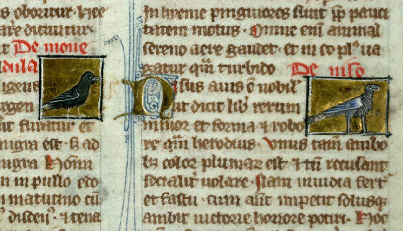 Valenciennes, Bibl. mun., ms. 0320, f. 104 - vue 3