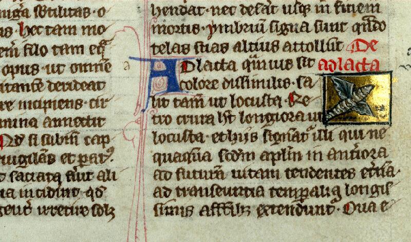 Valenciennes, Bibl. mun., ms. 0320, f. 142v - vue 2