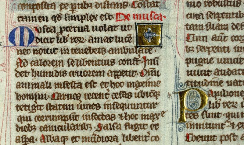 Valenciennes, Bibl. mun., ms. 0320, f. 146 - vue 1